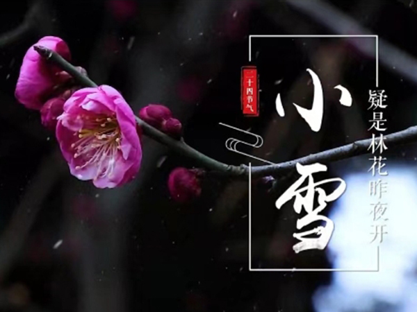 金環電器